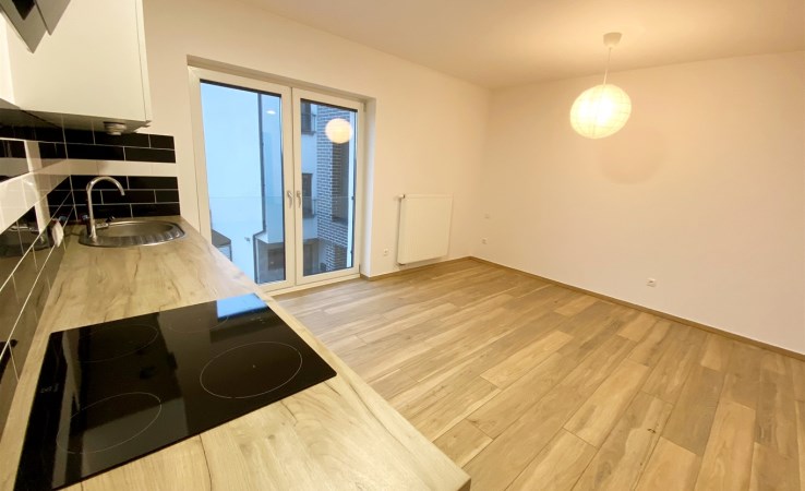 mieszkanie na wynajem - Rybnik, Północ